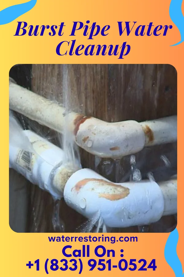 Burst Pipe Water Cleanup in Sardis, MS
