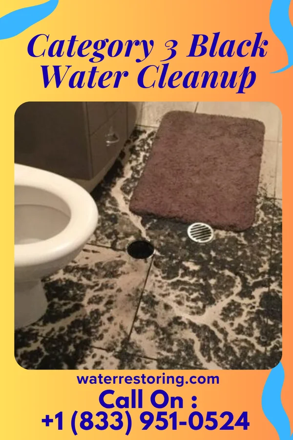 Category 3 Black Water Cleanup in Sardis, MS