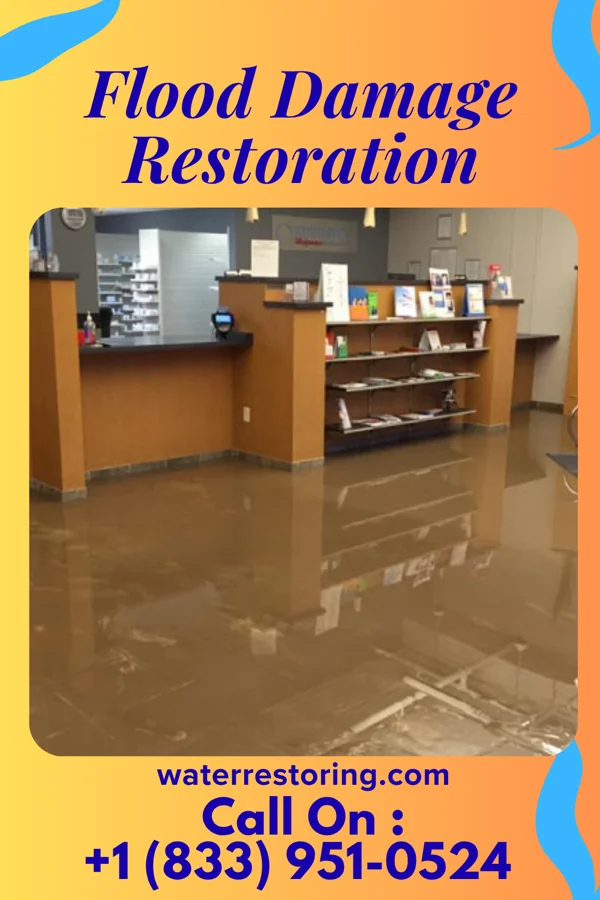 Flood Damage Restoration in Sardis, MS