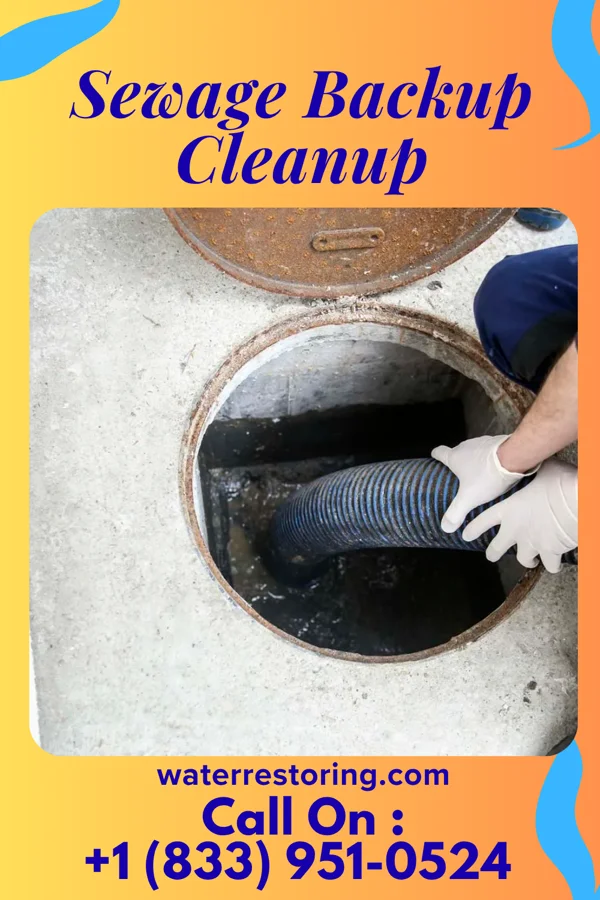 Sewage Backup Cleanup in Sardis, MS